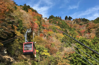 身延山ロープウェイ「紅葉キャンペーン」