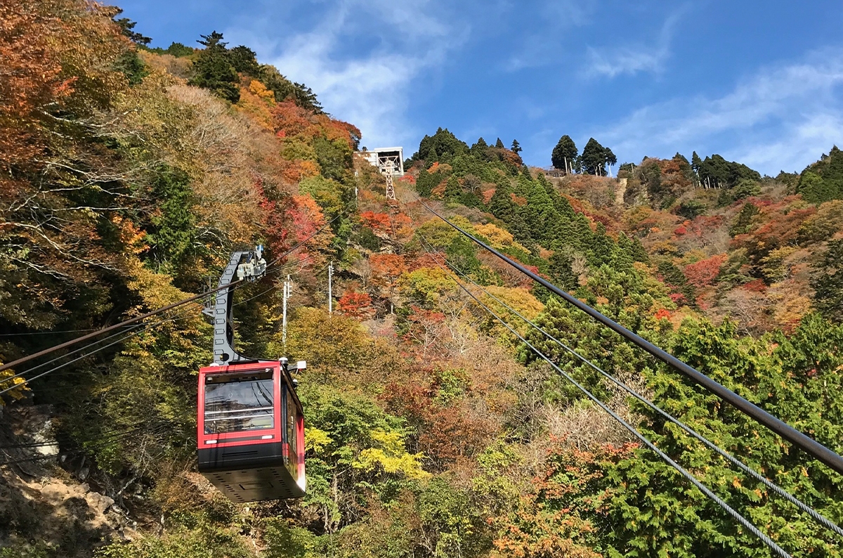 身延山ロープウェイ「紅葉キャンペーン」
