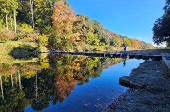 埼玉県嵐山町「嵐山渓谷紅葉まつり」