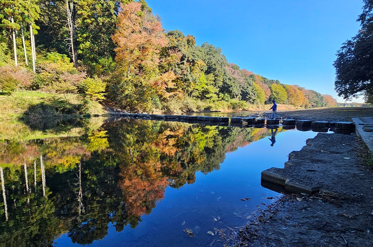 埼玉県嵐山町「嵐山渓谷紅葉まつり」