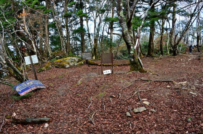 九合目あたりの分岐