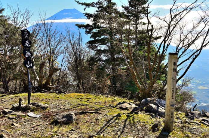 毛無山の山頂