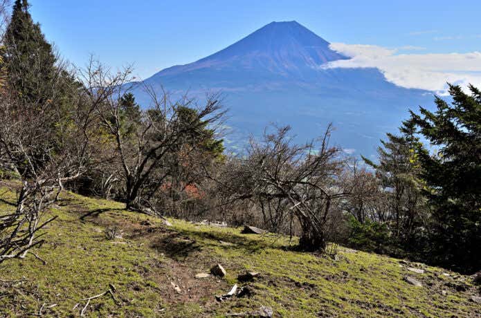 毛無山から見る富士山