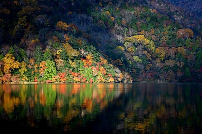 日光の紅葉