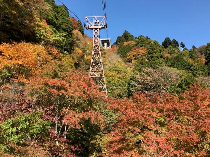 身延山の紅葉
