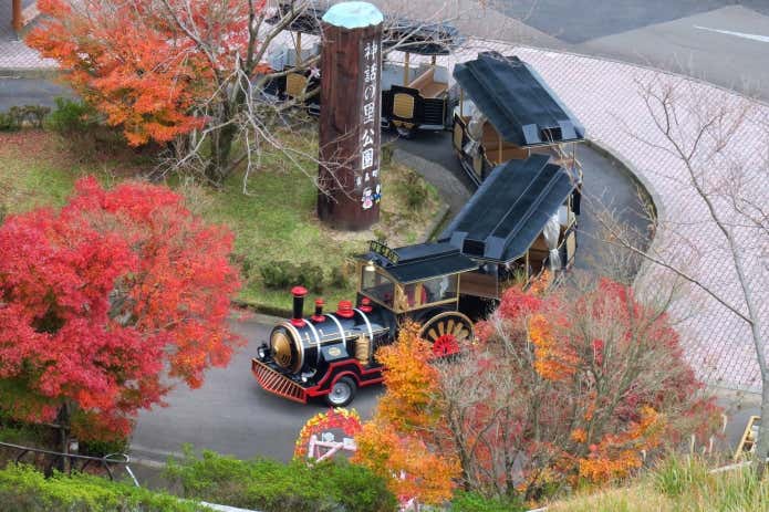 例年の紅葉の様子