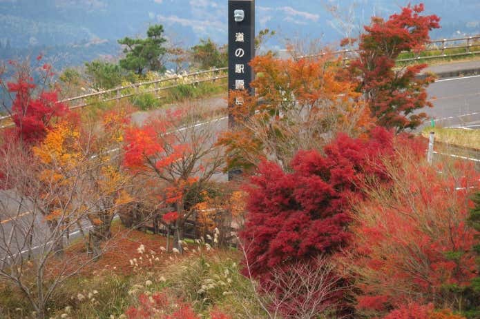 例年の紅葉の様子