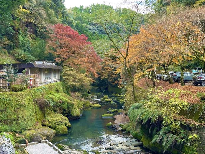 令和6年12月7日撮影