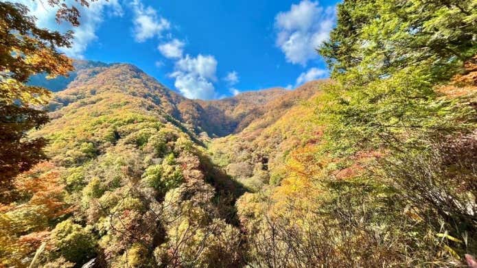 秋色に染まる山肌