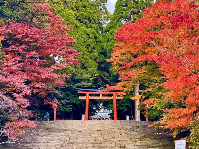 令和6年12月6日撮影