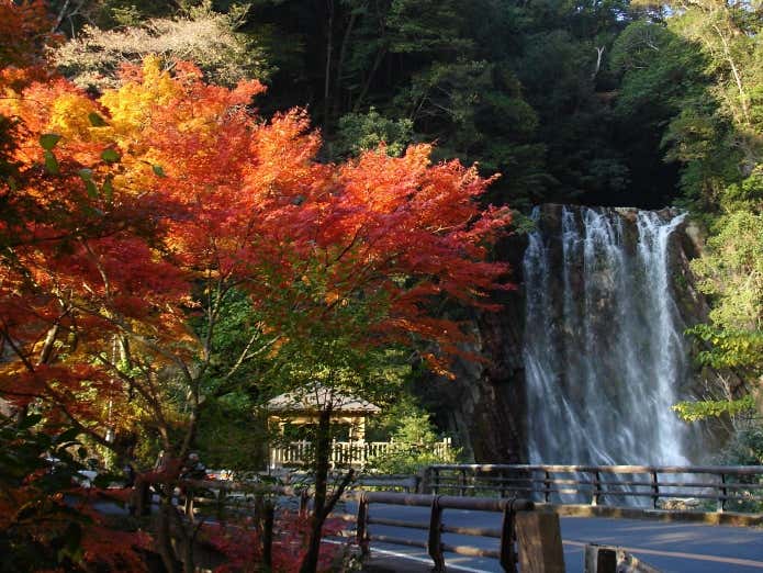例年の紅葉の様子　丸尾滝
