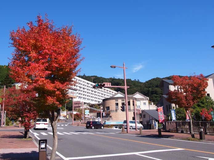 例年の紅葉の様子